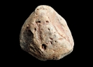 Ichnofossil