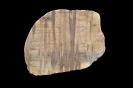 Spurenfossil Scolithos linearis (Haldeman, 1840)