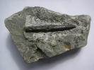 Unterkreide