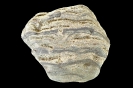 Stromatolith