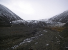 Van Mijenfjorden Gruppe (Tertiär)